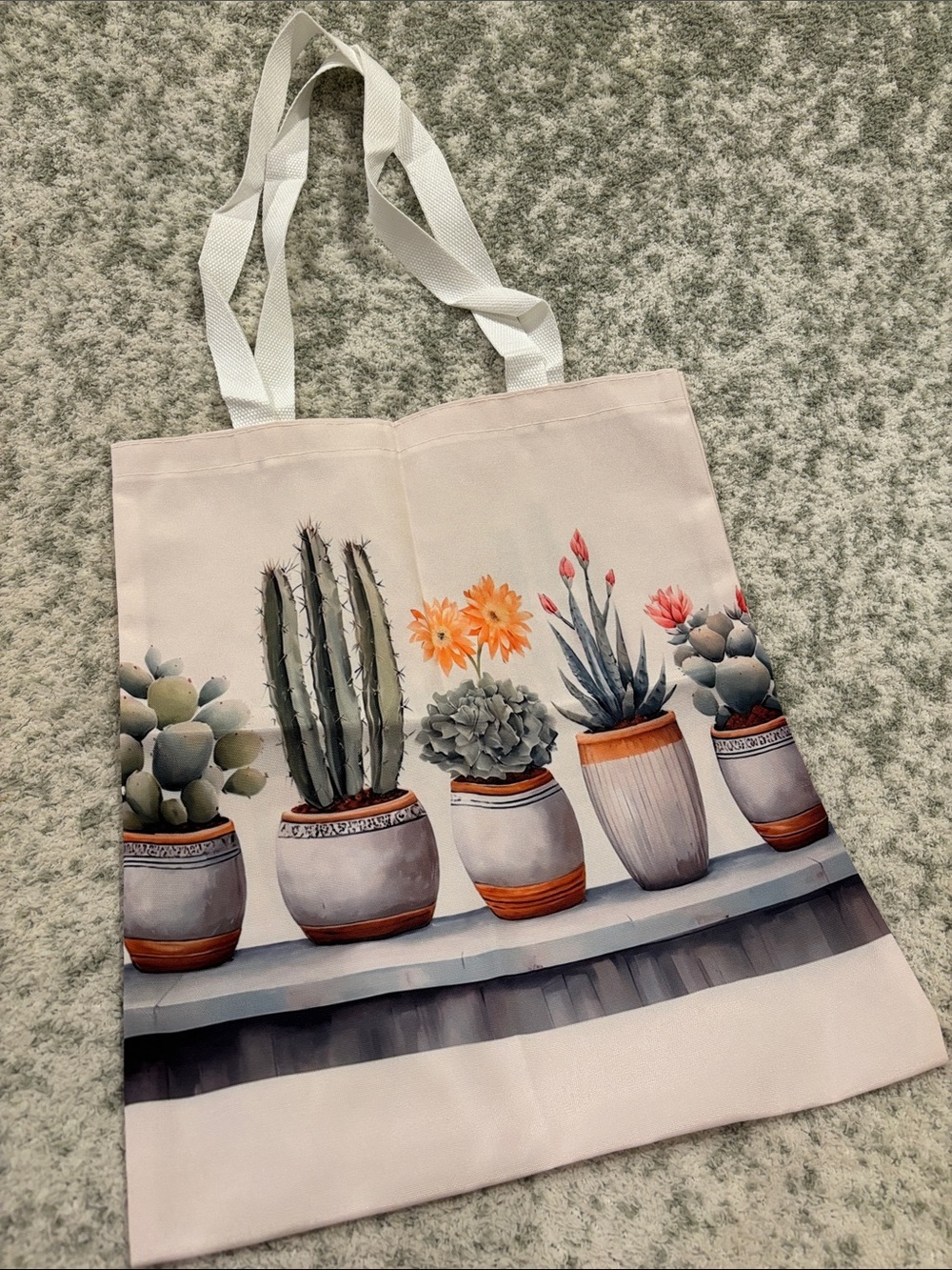 Southwest Desert Botanical Potted Cactus Succulent Poly Canvas Tote Bag NWT